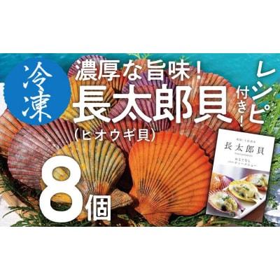 冷凍 ヒオウギ貝 8個セット ホタテの仲間  真空パック BBQ 海鮮バーベキュー【R00802】