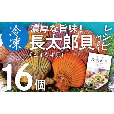 冷凍 ヒオウギ貝 16個セット ホタテの仲間  真空パック BBQ 海鮮バーベキュー【R00803】 | ふるさと納税のお礼品