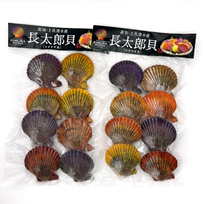 冷凍 ヒオウギ貝 16個セット ホタテの仲間  真空パック BBQ 海鮮バーベキュー【R00803】