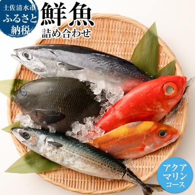 おまかせ!季節の鮮魚 お楽しみセット(アクアマリンコース)食べ比べ 天然魚介 海鮮【R01094】