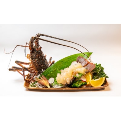 【先行受付10月下旬以降】冷凍伊勢海老1kg(サイズおまかせ)エビ【R00640】