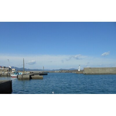 冷凍伊勢海老1kg(サイズおまかせ)エビ【R00640】