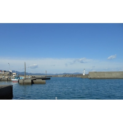 冷凍伊勢海老1kg(サイズおまかせ)エビ【R00640】