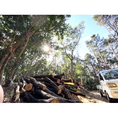 ウバメガシ 薪 約10kg(1箱)乾燥済 約30cm キャンプ ストーブ 暖炉【R01604】 