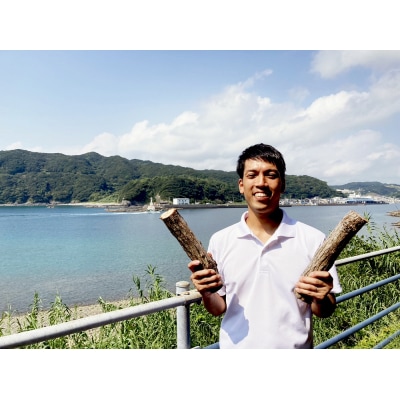 ウバメガシ 薪 約10kg(1箱)乾燥済 約30cm キャンプ ストーブ 暖炉【R00828】 