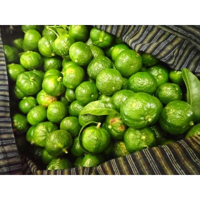 皮ごとシークワーサー果汁100%(300ml×3本セット)調味料 飲料【R00359】