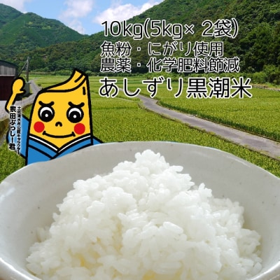 令和6年産  あしずり黒潮米10kg(5kg×2袋)コシヒカリ 精米 ブランド米【R01306】