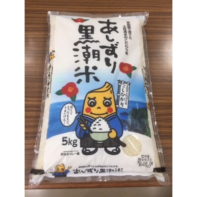 令和6年産  あしずり黒潮米10kg(5kg×2袋)コシヒカリ 精米 ブランド米【R01306】