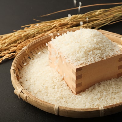 令和6年産  あしずり黒潮米10kg(5kg×2袋)コシヒカリ 精米 ブランド米【R01306】