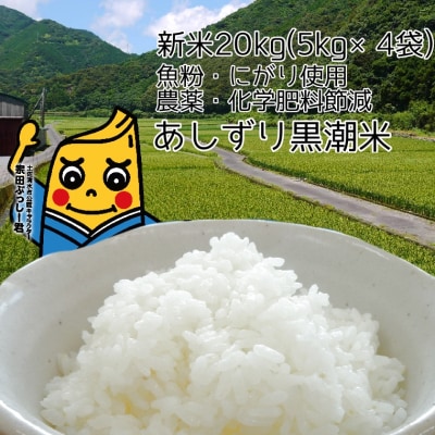 自然栽培【ヒノヒカリ】玄米20kg[5kg ×4袋]新米 無農薬無施肥の自然栽培 自然栽培【ヒノヒカリ】玄米20kg[5kg ×4袋]新米 無農薬無施肥の