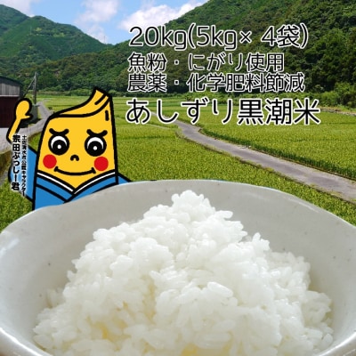 令和6年産  あしずり黒潮米20kg(5kg×4袋)コシヒカリ 精米 ブランド米【R01308】