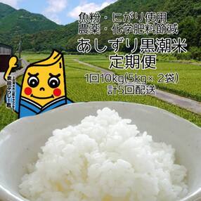 米 定期便 あしずり黒潮米10kg&times;5回(コシヒカリ)精米 白米 ブランド米 ご飯【J00042】