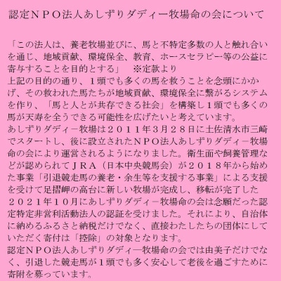 花馬車プロジェクト応援 クラウンドファンディング  馬主 競馬 動物 牧場支援【R00341】