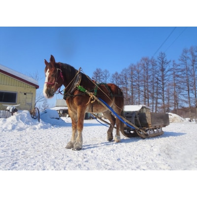 花馬車プロジェクト応援 クラウンドファンディング  馬主 競馬 動物 牧場支援【R00644】