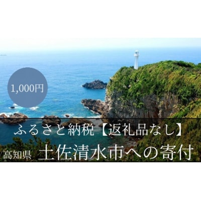 【返礼品なしの応援】高知県土佐清水市 1000円 千円【R00001】