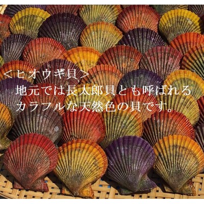 野菜盛り!ヒオウギ貝の黄金焼き(4個入×3パック)冷凍 魚貝 おかず 惣菜 おつまみ【R01610】