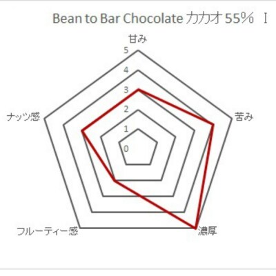 こだわり焙煎!コーヒー入りチョコレート2枚 (55g/枚・タンザニア産カカオ55%)【R00292】