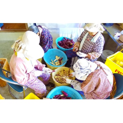 無添加 芋もち 2種セット(プレーン味&紫芋味)計12枚 芋餅 和菓子 芋スイーツ【R00204】
