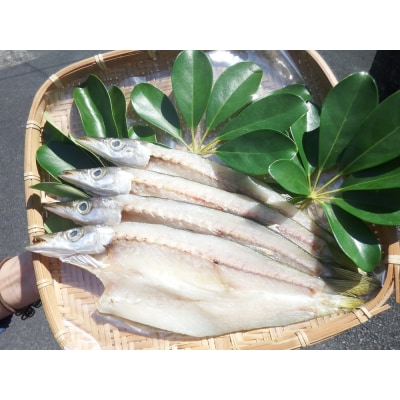 旬の干物4種類おまかせセット　無添加 干し魚 健康食品 おかず 惣菜 おつまみ【R00764】