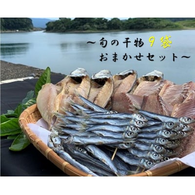 旬の干物9袋おまかせセット 無添加 干し魚 健康食品 おかず 惣菜 おつまみ【R00771】