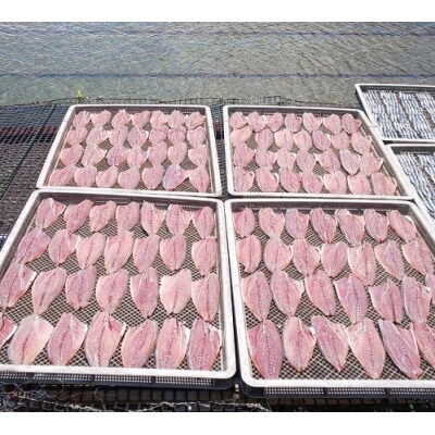 旬の干物9袋おまかせセット　無添加 干し魚 健康食品 おかず 惣菜 おつまみ【R00771】