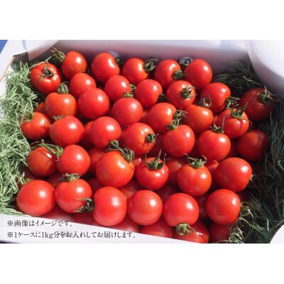 【先行受付】令和7年10月　完熟フルティカトマト1kg(中玉サイズ)天然地下水使用 【R00130】
