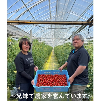 完熟フルティカトマト1kg(中玉サイズ)天然地下水使用 【R00130】