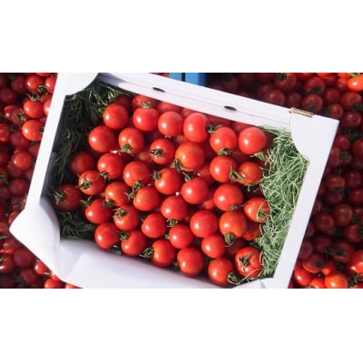 完熟フルティカトマト2kg(中玉サイズ)天然地下水使用【R00286】