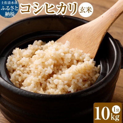令和6年産新米 コシヒカリ玄米10kg(1袋)【先行受付/令和6年8月発送予定】【R01035】