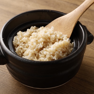 令和6年産新米 コシヒカリ玄米10kg(1袋)【先行受付/令和6年8月発送予定】【R01035】