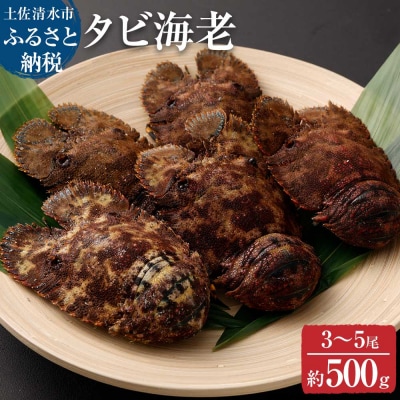 先行受付 天然タビ海老(ゾウリエビ)約500g(3～5尾入り)サイズおまかせ【R00346】