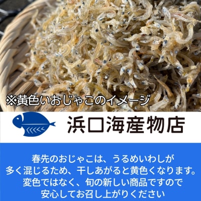 浜口海産物店のじゃこ3種(ちりめん・かちり・かえり)食べ比べセット(計3袋)シラス【R00014】