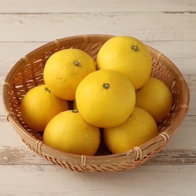 【先行受付】R8年4月発送 月ヶ丘果樹園の訳あり小夏5kg　家庭用 日向夏【R00177】