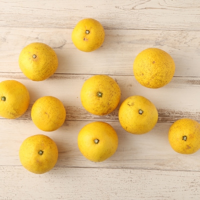 【先行受付】R8年4月発送 月ヶ丘果樹園の訳あり小夏5kg　家庭用 日向夏【R00177】