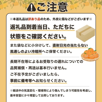 月ヶ丘果樹園の訳あり小夏5kg　家庭用 日向夏【R00177】