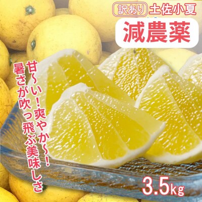 訳あり小夏3.5キロ(白浜農園の減農薬小夏)柑橘 日向夏 みかん フルーツ  日向夏【R01001】