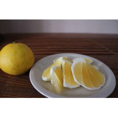 家庭用だけど家庭用じゃない!? 訳あり 小夏 5kg 日向夏【R01492】