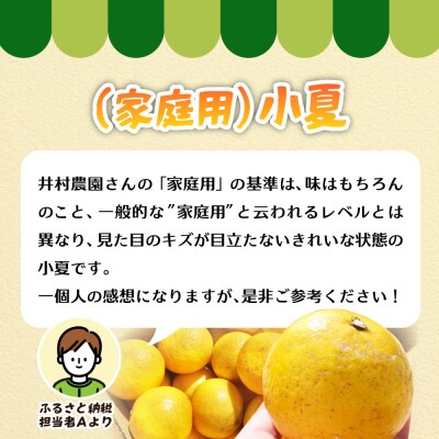 家庭用だけど家庭用じゃない!? 訳あり 小夏 5kg 日向夏【R01492】