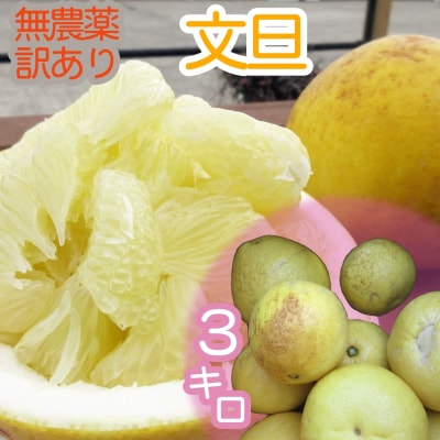 訳あり 文旦 3kg 栽培期間中農薬不使用 熟成 柑橘 みかん ザボン 高知 土佐【R00898】