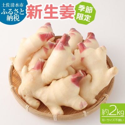 新生姜2kg(季節限定/農家直送)2キロ 甘酢漬け ガリ しょうが ショウガ【R00195】