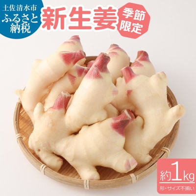 新生姜1kg(季節限定・農家直送)1キロ 甘酢漬け ガリ しょうが ショウガ【R00009】