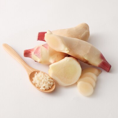 【先行受付】新生姜3kg 季節限定 農家直送 甘酢漬け ガリ しょうが【R01549】