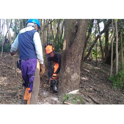 【令和8年2月以降】ウバメガシの薪 1箱 18kg 長さミックス【R01048】