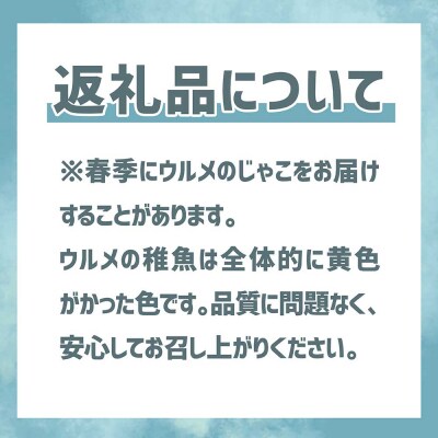 岡本水産加工のちりめん&かちりじゃこ「特盛」セット(各種3袋)無添加 釜揚げ しらす【R00335】
