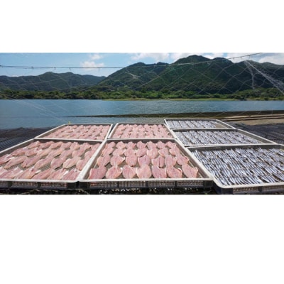 岡本水産加工のちりめんじゃこ2種と干物2種「特盛」セット　無添加 釜揚げ しらす【R00282】