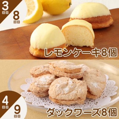 ポミエのスイーツ定期便(10回コース)お菓子 ケーキ 洋菓子 お楽しみ【J00236】