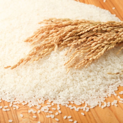 令和8年産 ミルキークイーン精米10kg(5kg×2袋)高知県産 米 こめ【R01252】