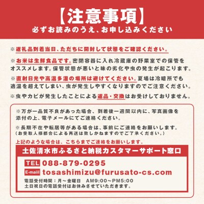 令和8年産 ミルキークイーン精米10kg(5kg×2袋)高知県産 米 こめ【R01252】