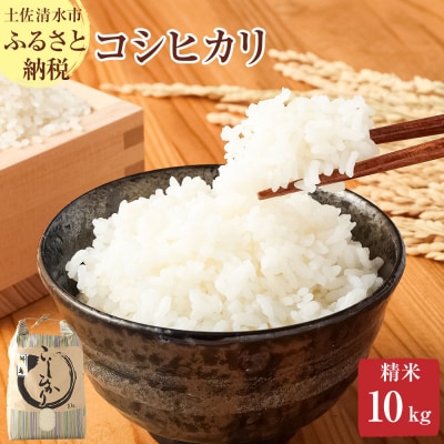 令和6年産 コシヒカリ精米10kg(1袋)高知県産 こめ こしひかり【R00355】