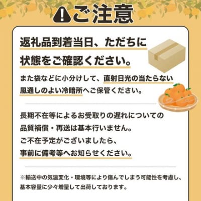R9.4月中旬～ 小夏 日向夏 5kg ご贈答◎ 粒ぞろい みかん 柑橘 高知名産【R01490】